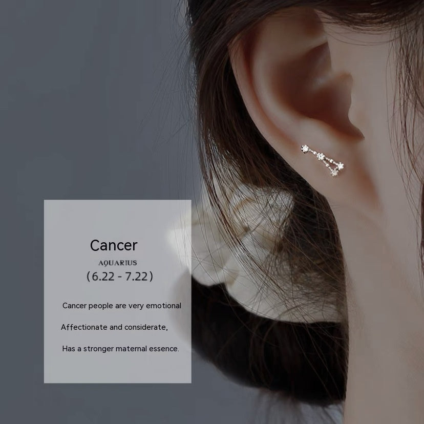 S925 Sterling Silver Constellation Stud Earrings For Women